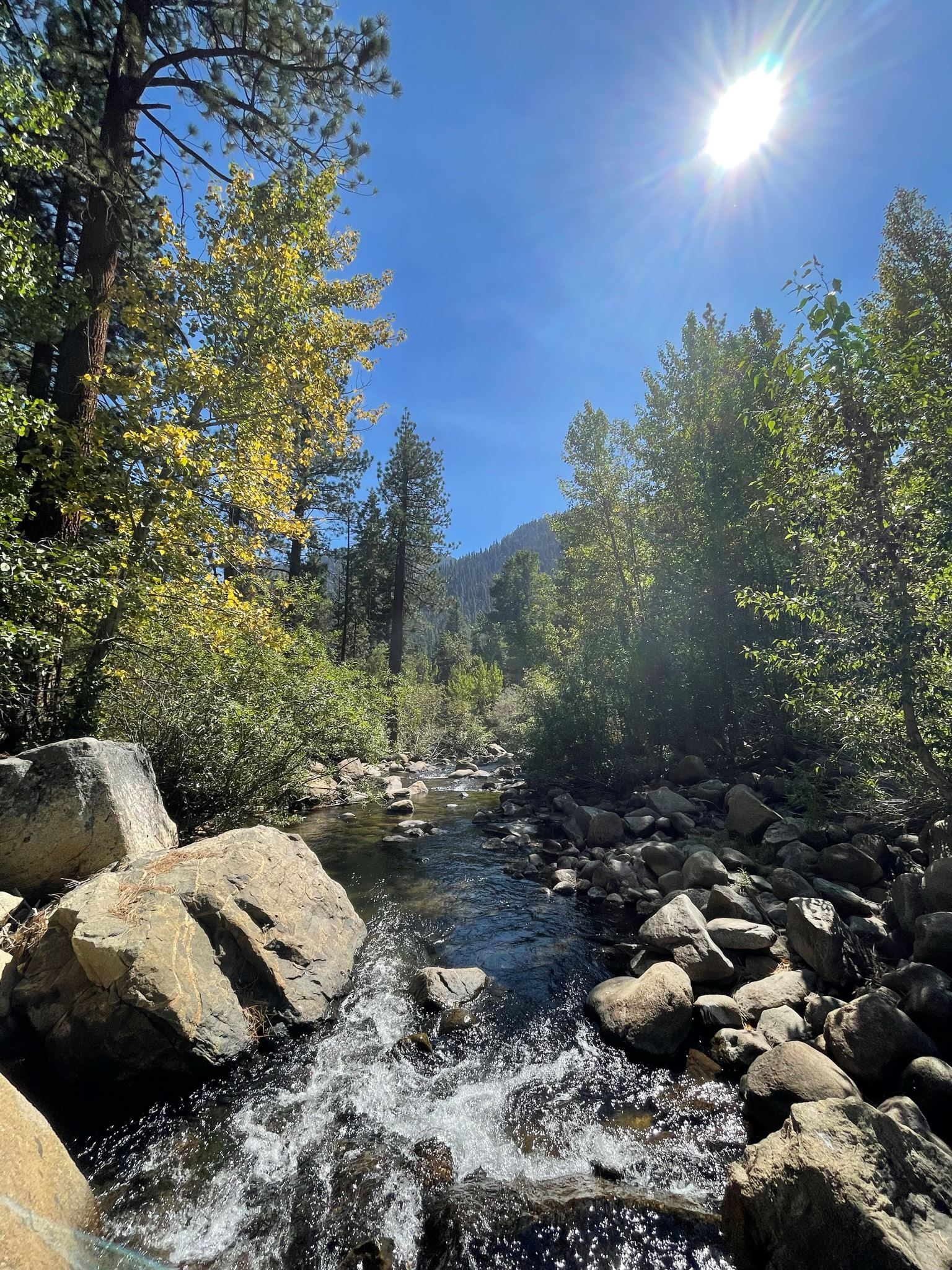 Scenic view West Fork of Carson River, rapids